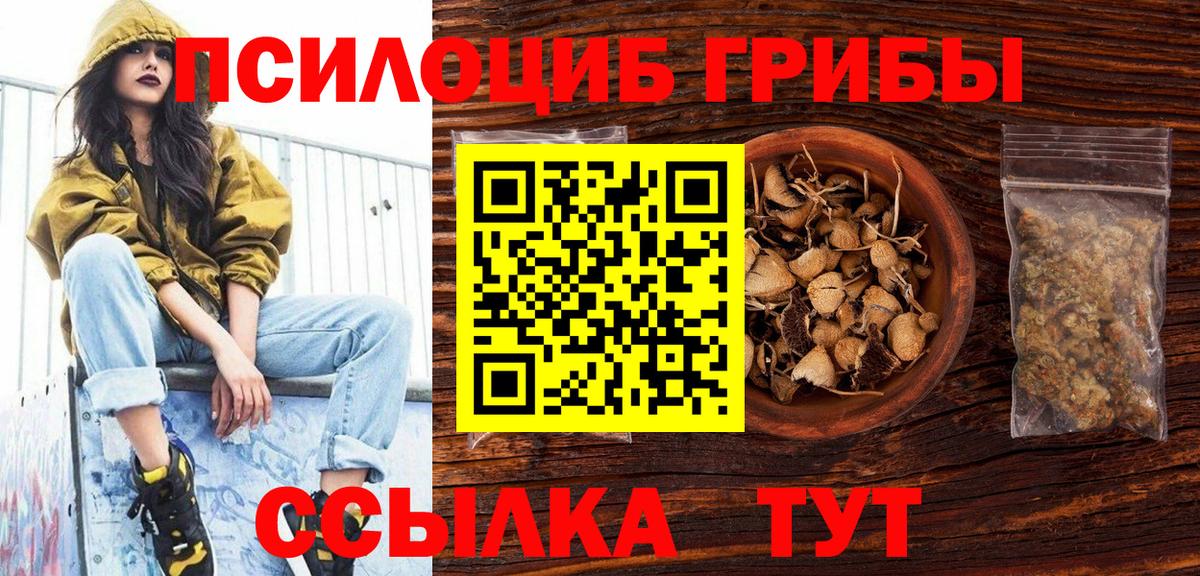 Галлюциногенные грибы GOLDEN TEACHER Губкинский