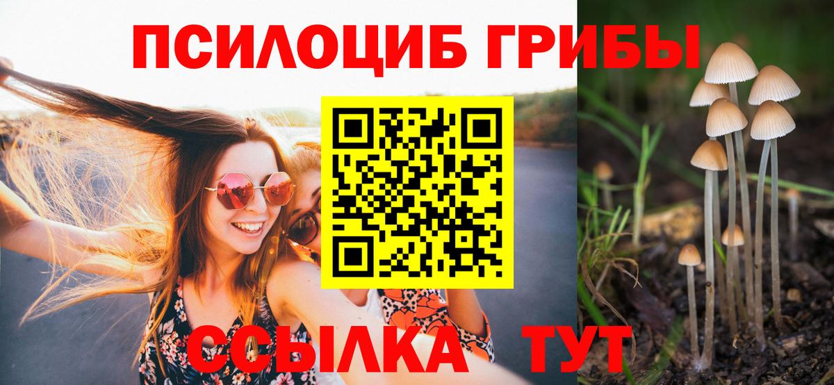 Псилоцибиновые грибы Cubensis  Вход с VPN  Губкинский  Галлюциногенные грибы MAGIC MUSHROOMS 